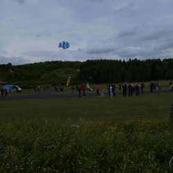 2013 Suche 29062013 Olivera